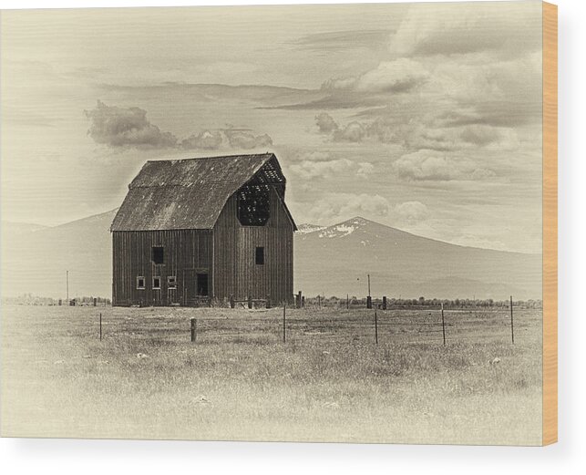 Barn Wood Print featuring the photograph Abandoned Barn by Betty Depee