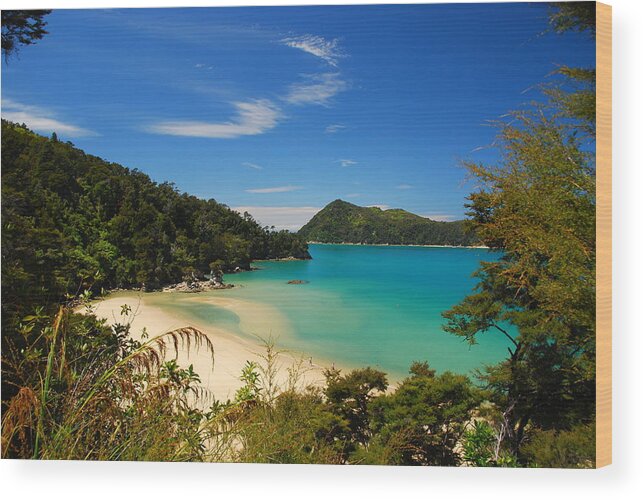 Abel Tasman National Park Wood Print featuring the photograph Abel Tasman National Park Landscape by Cascade Colors