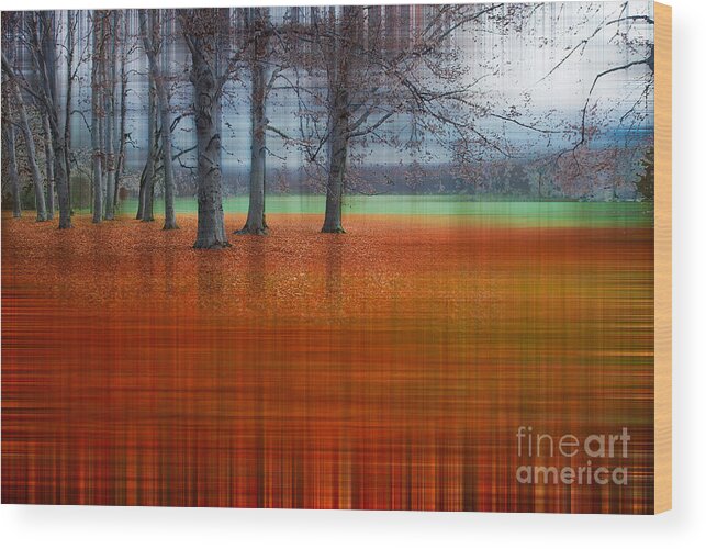 Abstract Wood Print featuring the photograph abstract atumn II by Hannes Cmarits