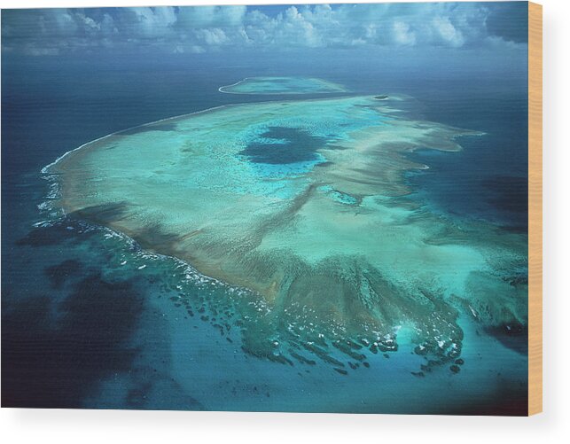 00172336 Wood Print featuring the photograph Aerial View Of Heron Island by D Parer and E Parer Cook