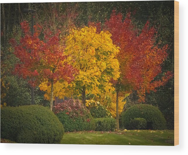 Autumn Wood Print featuring the photograph All Lit Up by Ronda Broatch