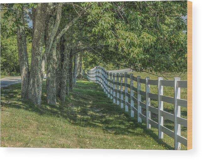 Maine Wood Print featuring the photograph Along a country road by Jane Luxton