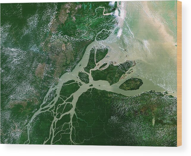 Amazon River Wood Print featuring the photograph Amazon Delta by Planetobserver/science Photo Library