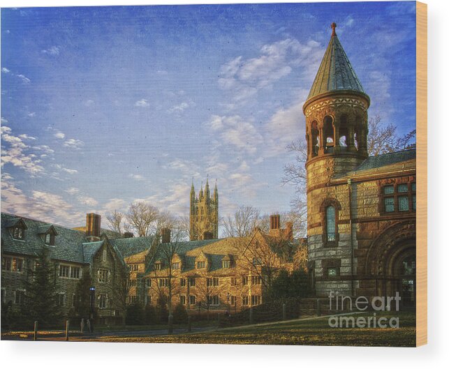 Places Wood Print featuring the photograph An afternoon at Princeton by Debra Fedchin