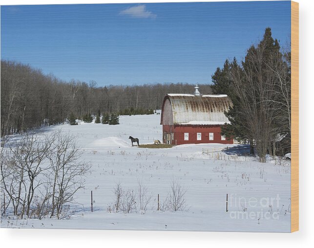 Americana Wood Print featuring the photograph an American Frozen Pasture by Dan Hefle