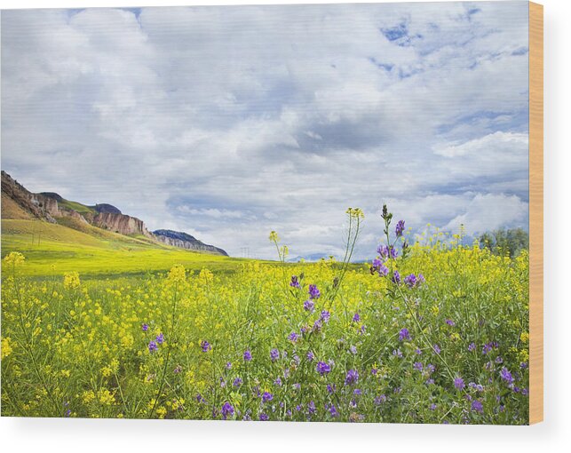 Wildflowers Wood Print featuring the photograph And A Heaven In A Wild Flower by Theresa Tahara