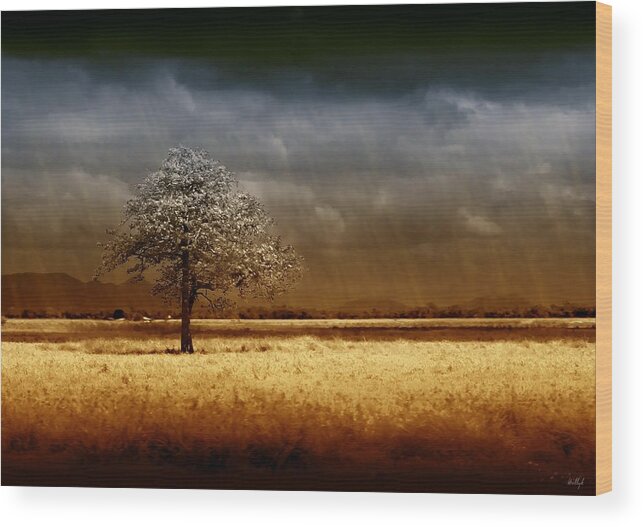 Landscapes Wood Print featuring the photograph And the rains came by Holly Kempe