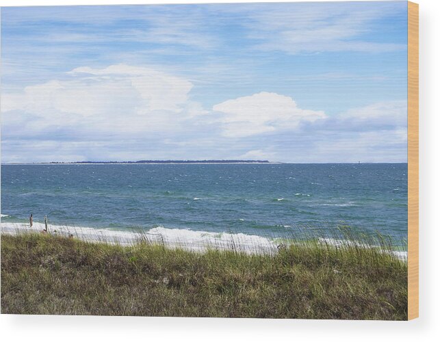 Beach Wood Print featuring the photograph Another Day in Paradise by Judy Hall-Folde