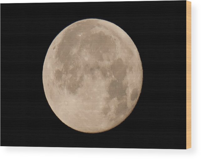 Moon Wood Print featuring the photograph April Moon by John Black