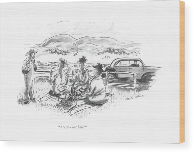 110611 Hho Helen E. Hokinson Farmer And Picnic Party. Country Countryside Farmer Farmers ?eld ?elds Intrude Intruding Landscape Landscapes Leisure Lunch Lunches Natural Nature Own Owner Party Pasture Pastures Picnic Picnics Property Rural Trespass Trespassing Wood Print featuring the drawing Are You Our Host? by Helen E. Hokinson