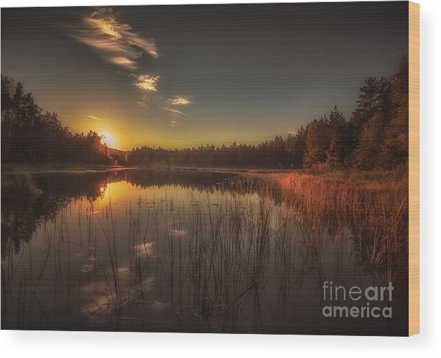 Sunset Wood Print featuring the photograph As in a Dream by Rose-Maries Pictures