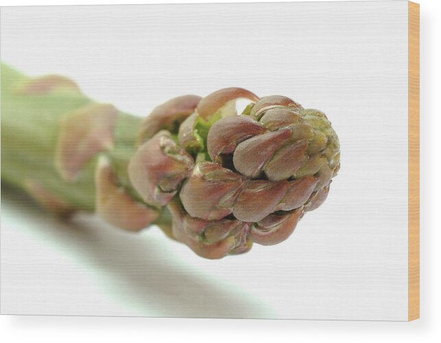 Asparagus Wood Print featuring the photograph Asparagus by Bildagentur-online/th Foto/science Photo Library