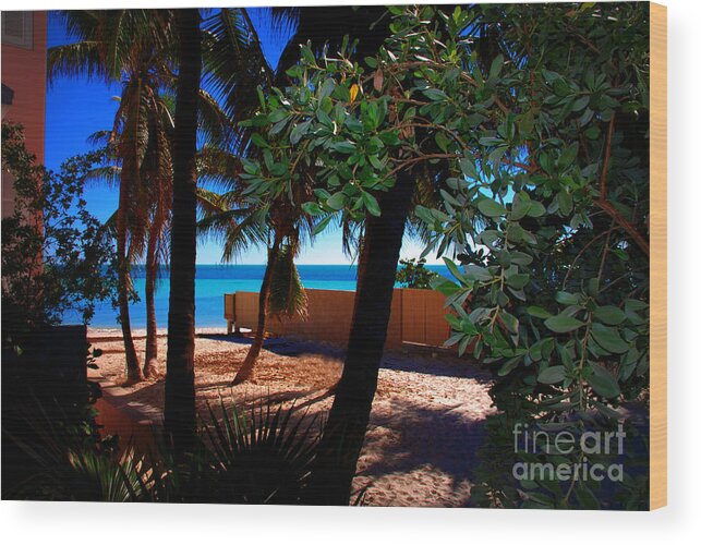 Dogs Beach Wood Print featuring the photograph At Dog's Beach in Key West by Susanne Van Hulst