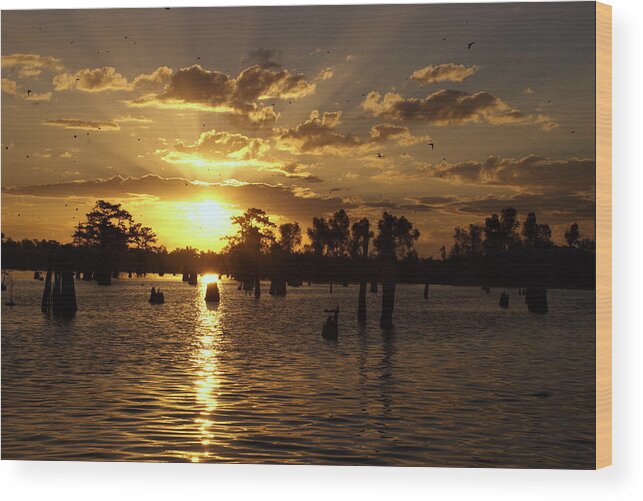 Atchafalaya Basin Wood Print featuring the photograph Atchafalaya Sunrise by Ron Weathers
