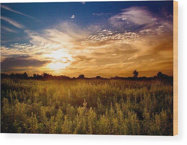 Sunset Wood Print featuring the photograph August Sunset in the Meadow by Rob Blair