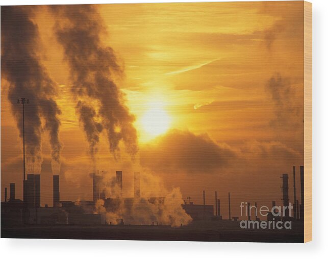 Environment Wood Print featuring the photograph Auto Factory by Jim West