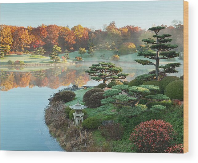 Scenics Wood Print featuring the photograph Autumn At The Chicago Botanic Garden by N. Vivienne Shen Photography