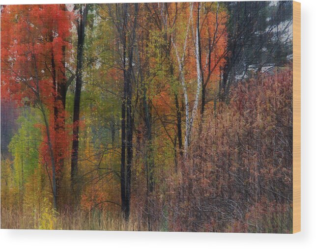 Autumn Fall Landscape Color Nature Trees Print Photo Photograph Acrylic Canvas Metal Wood Print featuring the photograph Autumn Landscape 21 by Jim Vance