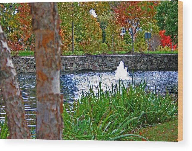 Odenton Maryland Wood Print featuring the photograph Autumn Pond another view by Andy Lawless