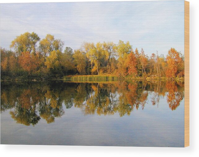 Scenic Wood Print featuring the photograph Autumn Reflections by AJ Schibig