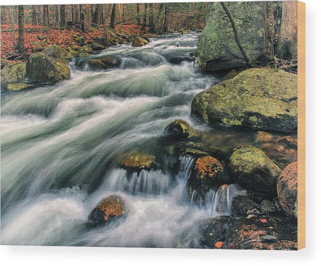 Autumn Rush - Barbara Socor Wood Print featuring the photograph Autumn Rush by Barbara Socor