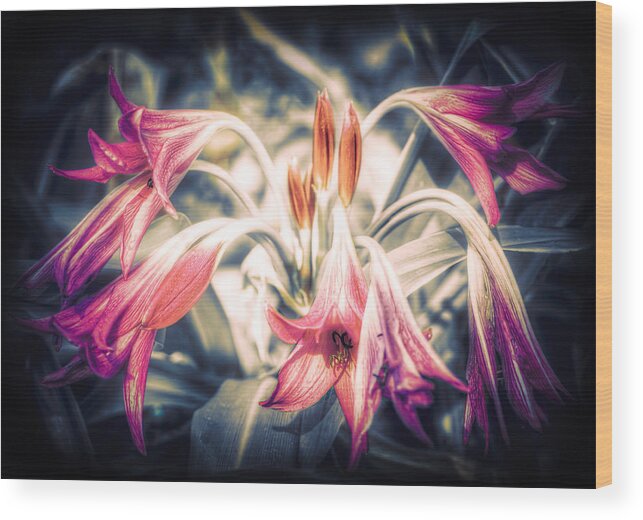 Flowers Wood Print featuring the photograph Awakening by Wayne Sherriff