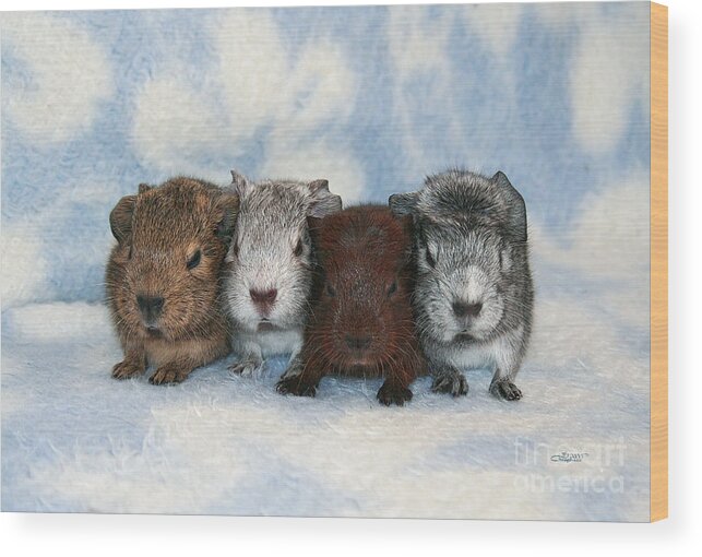 Photo Wood Print featuring the photograph Babies by Jutta Maria Pusl