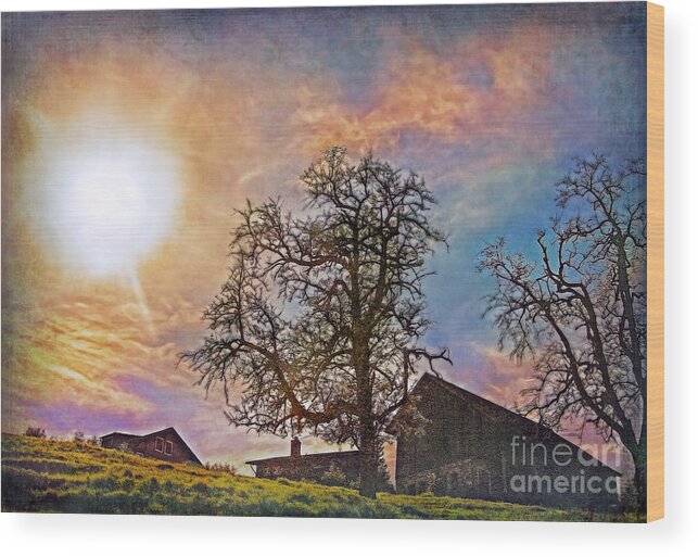 Switzerland Wood Print featuring the photograph Back Light by Hanny Heim