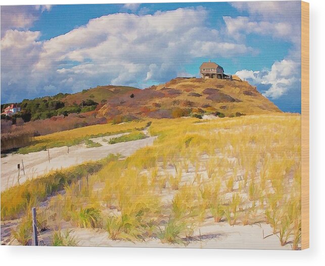 Cape Cod Wood Print featuring the photograph Ballston Beach Dunes Photo Art by Constantine Gregory