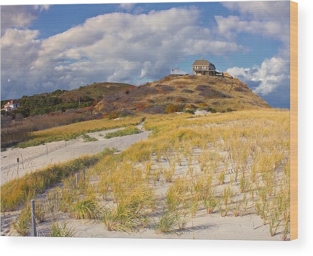 Cape Cod Wood Print featuring the photograph Ballston Beach Dunes by Constantine Gregory