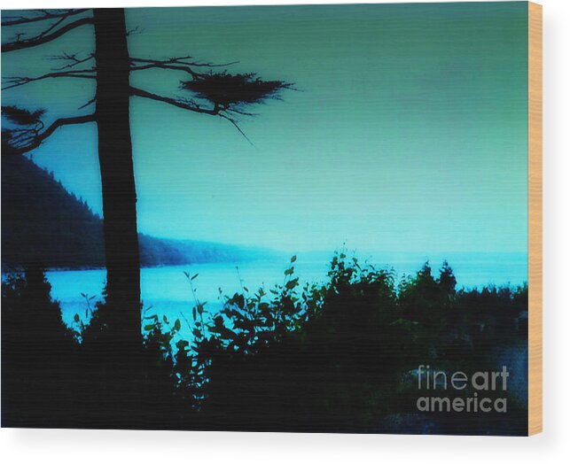 Bar Harbor Wood Print featuring the photograph Bar Harbor View by Desiree Paquette