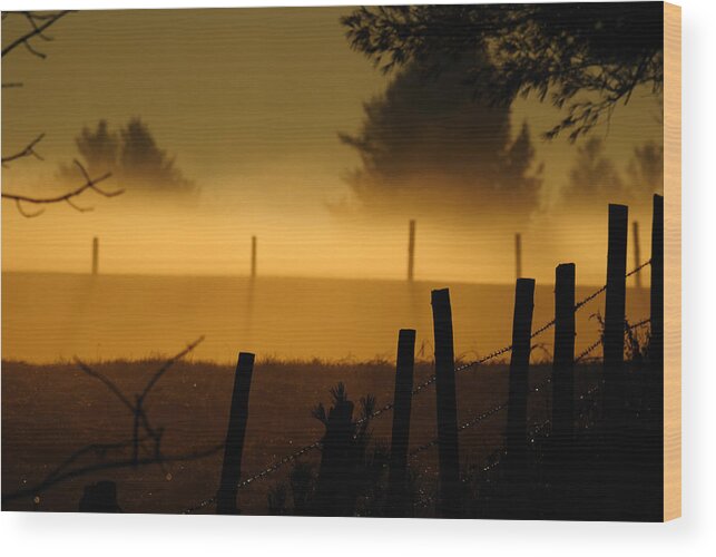 Maine Wood Print featuring the photograph Barbed Silhouette by Paul Noble