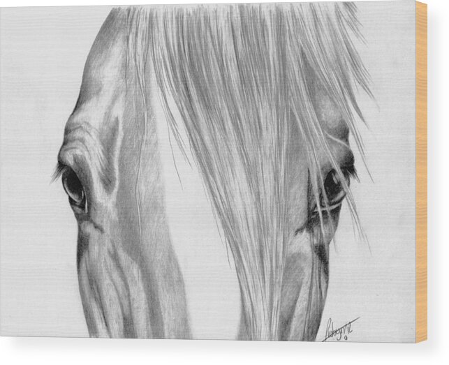 Equine Wood Print featuring the drawing Beautiful Eyes by Robyn Green
