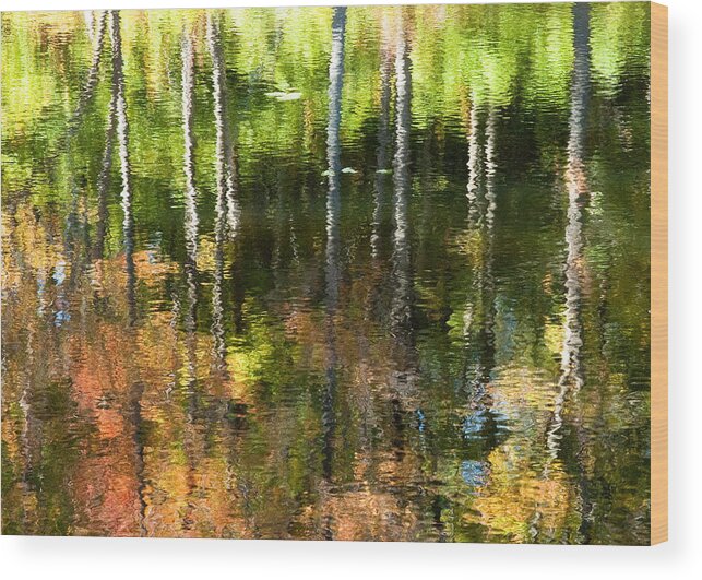 Rob Huntley Wood Print featuring the photograph Beaver Pond Reflections 1 Gatineau Park Quebec by Rob Huntley