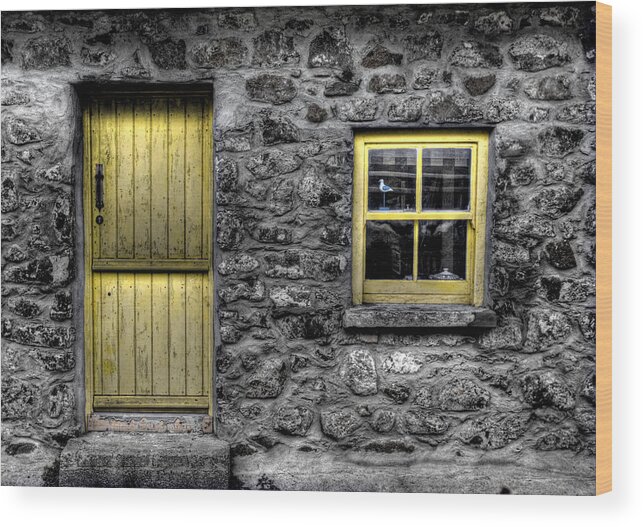 Cottage Wood Print featuring the photograph Bird in the Window by Nigel R Bell