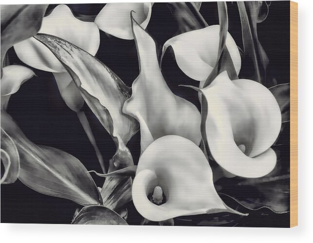 Calla Wood Print featuring the photograph Black and White Calla Lilies by Donna Proctor