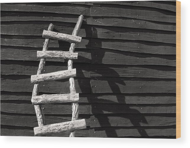 Ladder Wood Print featuring the photograph Black and White Ladder by Don Johnson