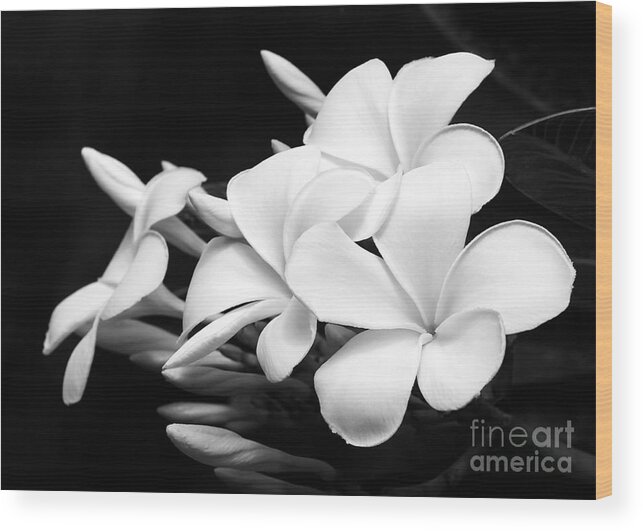 Macro Wood Print featuring the photograph Black and White Lightning by Sabrina L Ryan