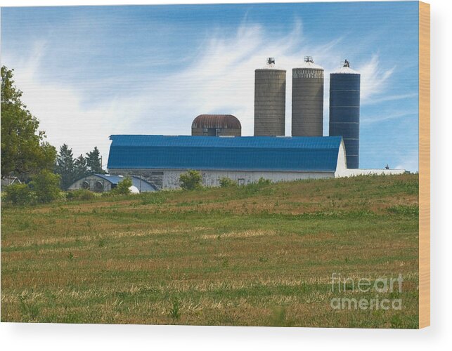 Agriculture Wood Print featuring the photograph Blue Barn And Silos by Richard and Ellen Thane