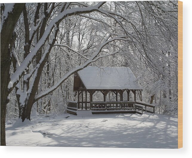 Winter Landscape After Snowfall Wood Print featuring the photograph Blue Heron Park in Winter by Kenneth Cole