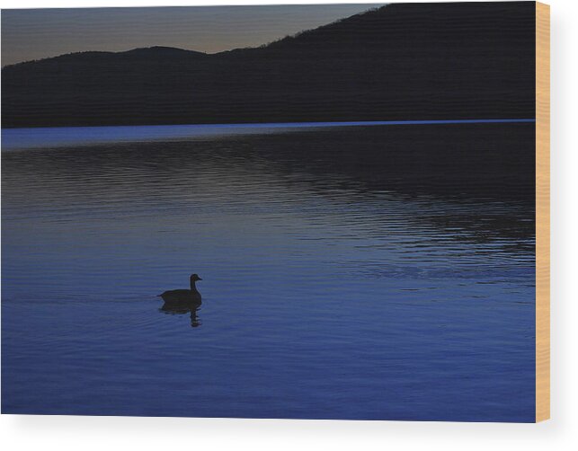 Blue Hour Wood Print featuring the photograph Blue by Judy Salcedo