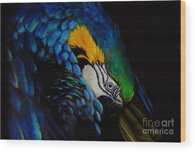 Blue Parrot Wood Print featuring the painting Blue Macaw by Nancy Bradley