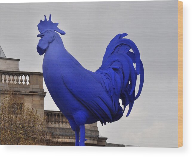 Rooster Wood Print featuring the photograph Blue Rooster in Trafalgar Square London by Diane Lent
