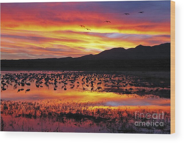 Ralser Wood Print featuring the photograph Bosque sunset II by Steven Ralser
