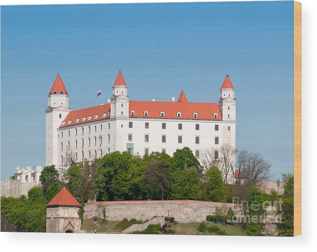 Bratislava Wood Print featuring the photograph Bratislava Castle by Les Palenik