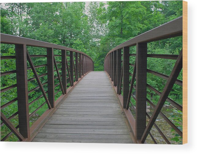 Landscape Wood Print featuring the photograph Bridging the Gap by Lisa Phillips