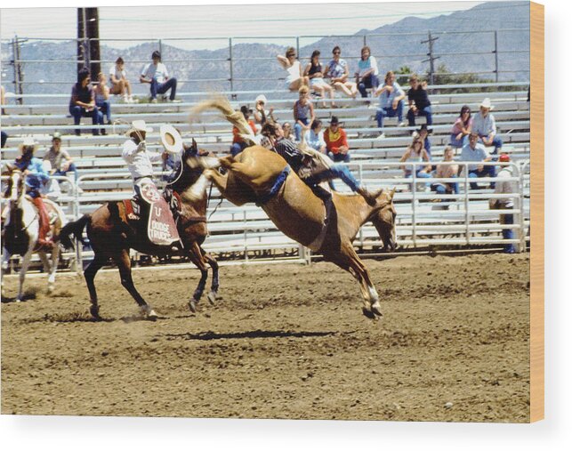 Animals Wood Print featuring the photograph Buck Rider by Gary De Capua