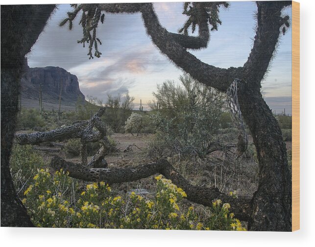 Desert Wood Print featuring the photograph Cactus Framed Sunset by Dave Dilli