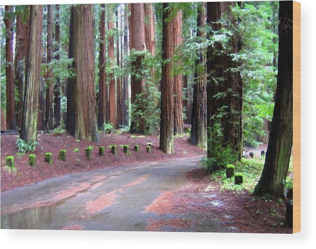 California Redwoods 3 Wood Print featuring the digital art California Redwoods 3 by Will Borden