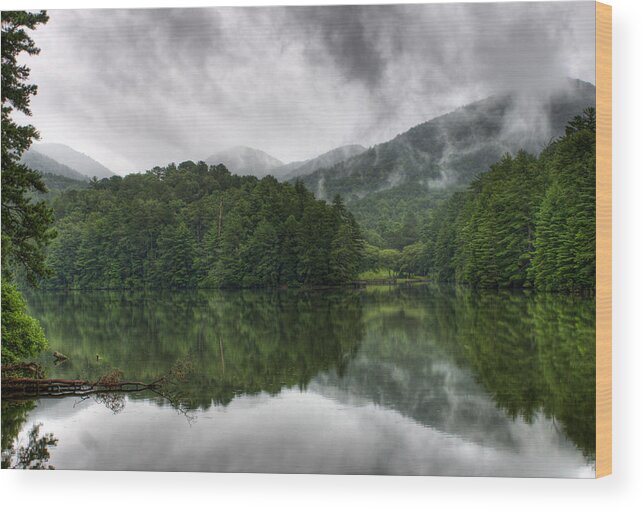 Trees Wood Print featuring the photograph Calm Waters by Rebecca Hiatt